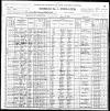 Leddy 1900 census.jpg